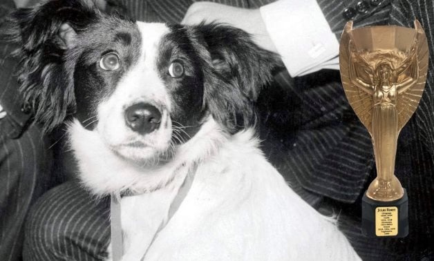 邊境牧羊犬Pickles找回1966年英格蘭的世界盃獎盃(photo:reddit)/金享娛樂城