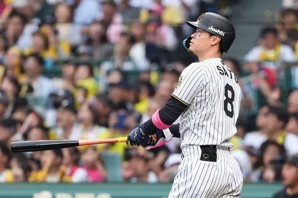 阪神虎佐藤輝明(photo:NPB)/金享娛樂城