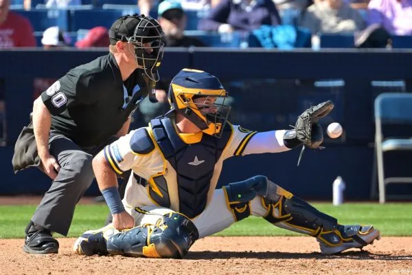捕手與主審(photo:MLB官網)/金享娛樂城